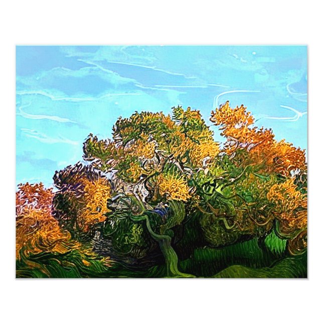 FOTO ÁRVORES DO OUTONO (Frente)