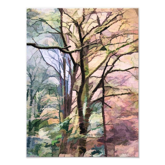 FOTO ÁRVORES DO OUTONO (Frente)