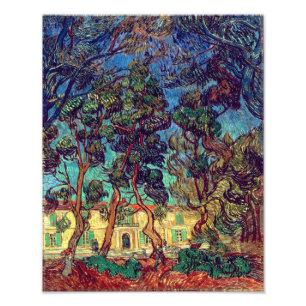 Foto Árvores no Hospital Garden Van Gogh