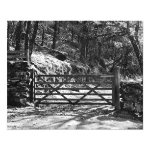 FOTO ÁRVORES PRETAS E BRANCAS E PORTA