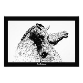 Foto As algas em silhueta, Falkirk, Escócia