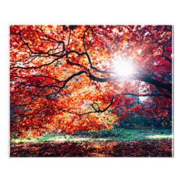 FOTO AS CORES MÁGICAS