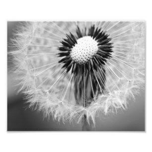 Foto As Sementes do Amanhã