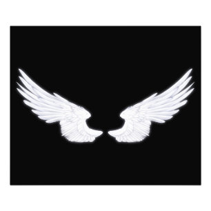 Foto Asas Anjos Brancos