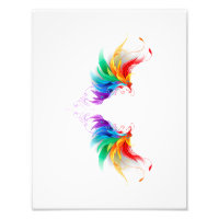 Asas Fluffy Rainbow