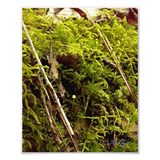 Foto Ascensão Hope (Frente)