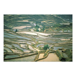 Foto Ásia, China. Terraces de arroz inundadas perto de