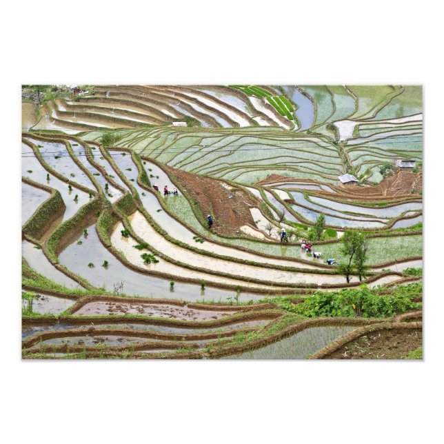 Foto Ásia, China, Yunnan, Jinping. Pessoas Yi nativas (Frente)