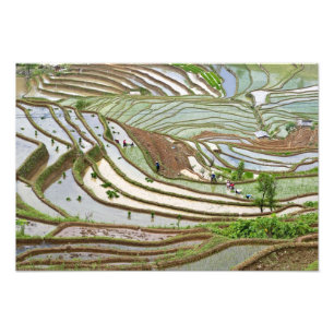 Foto Ásia, China, Yunnan, Jinping. pessoas Yi nativas