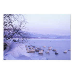 Foto Ásia, Japão, Hokkaido, Parque Nacional Akan, Cisne