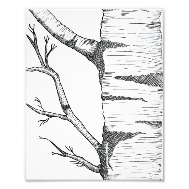 Foto Aspen  (Frente)