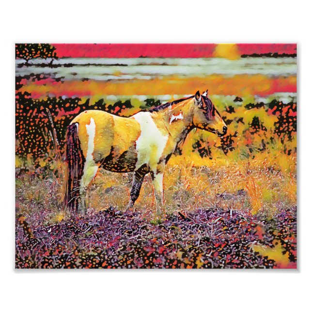 Foto Assateague ou Chincoteague Ponies (Frente)