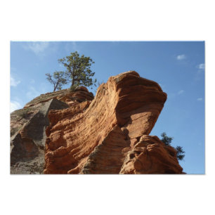 Foto Até Angels Landing no Parque Nacional de Zion