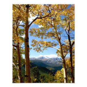 Foto Através da Aspen