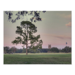 Foto Audubon Park Sunset