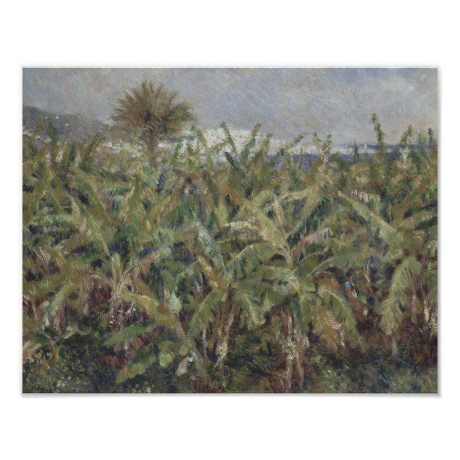 Foto Auguste Renoir - Campo de Bananas Árvores (Frente)