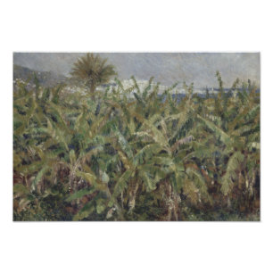 Foto Auguste Renoir - Campo de Bananas Árvores