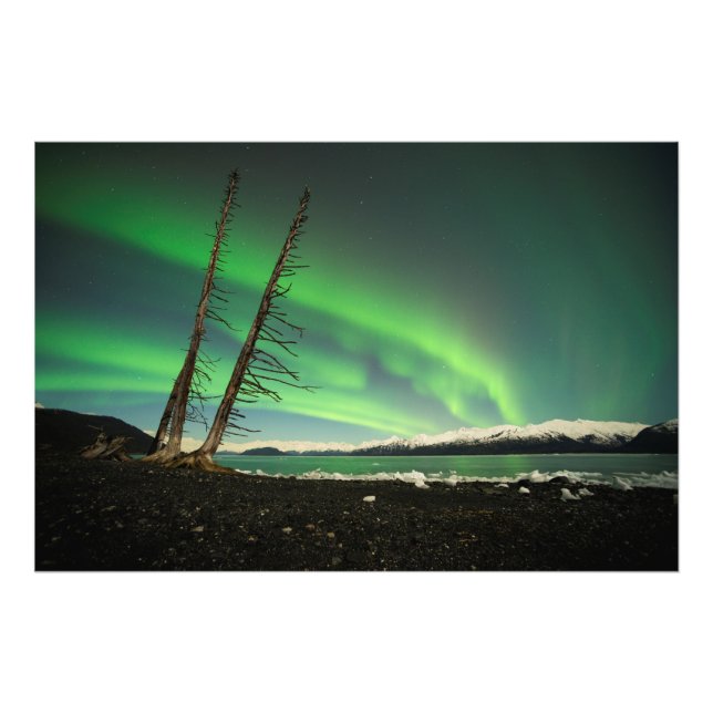 Foto Aurora de árvore inclinada (Frente)
