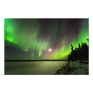 Foto Aurora majestosa