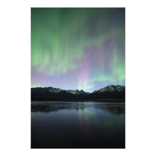 Foto Aurora Rosa