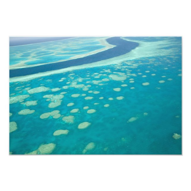 Foto Austrália, Queensland, Costa de Whitsunday, Grande (Frente)