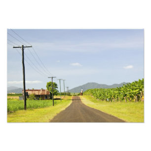 Foto Austrália, Queensland, Costa Norte, Babinda.