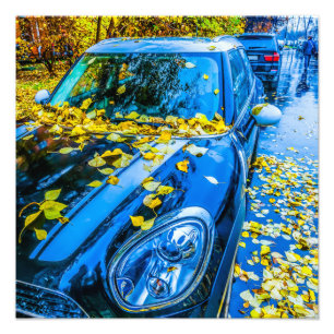 Foto Automóvel, Carro - Época De Folhas Falsas