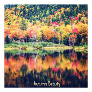 Foto Autumn Beauty