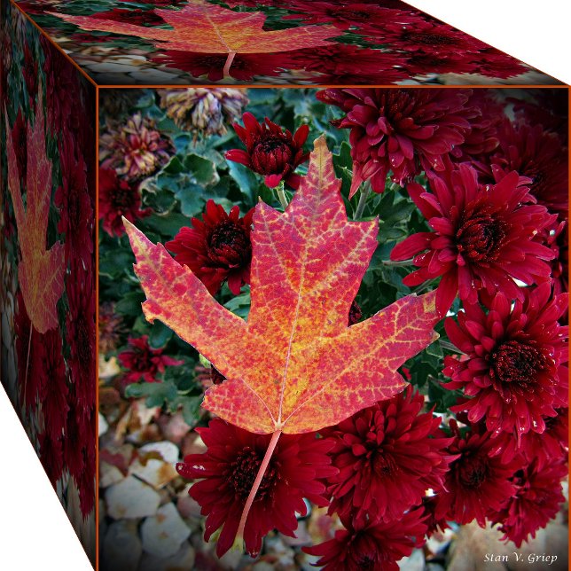 Foto Autumn Delight Photo Art Impressão por Stan (Criador carregado)