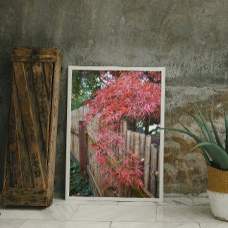 Foto Autumn Japonês Mapeando Folhas e Cerca de Bambu