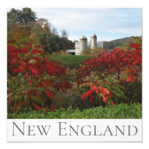 Foto Autumn Splendor New England Fall Colors