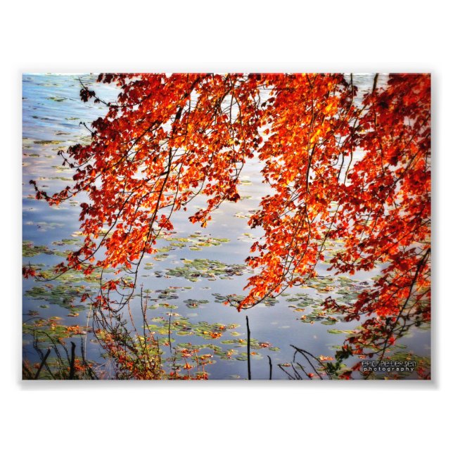 Foto Autumn Sunlight #2 (Frente)