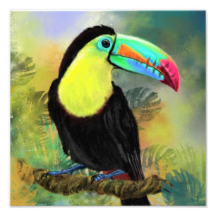 Foto Ave Tropical Toco Toucan Exótica - Pintura Migrad