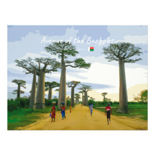 Foto Avenida dos Baobás, Madagascar - Paisagem