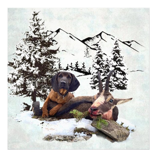 Foto aventura de caça de cabras de montanha (Frente)