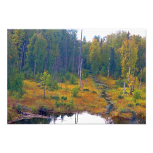 Foto Aventura no Alasca - Paisagem nº 6