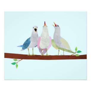 Foto Aves cantando