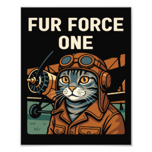 Foto Aviator Cat Voando Comandante Felino