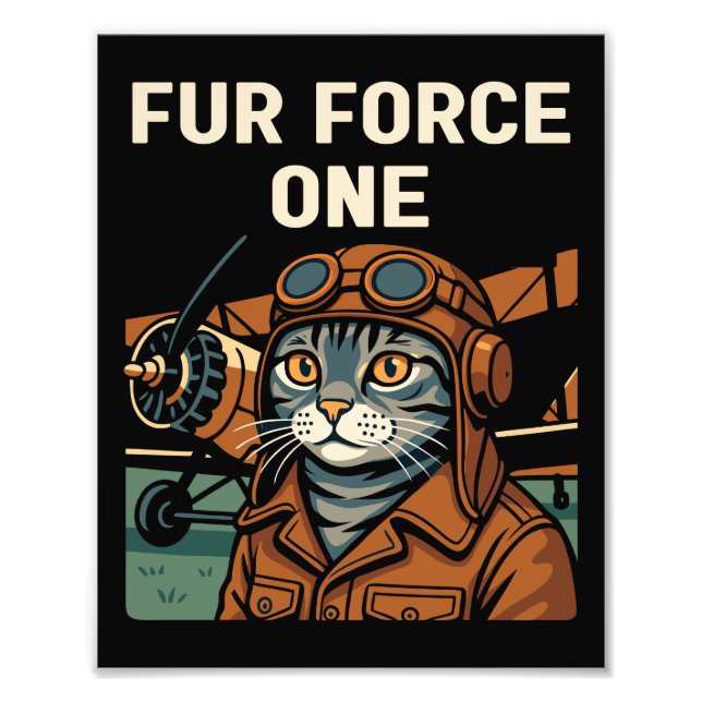 Foto Aviator Cat Voando Comandante Felino (Frente)
