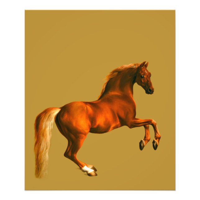 Foto Avô do Godolphin Arabian (Frente)