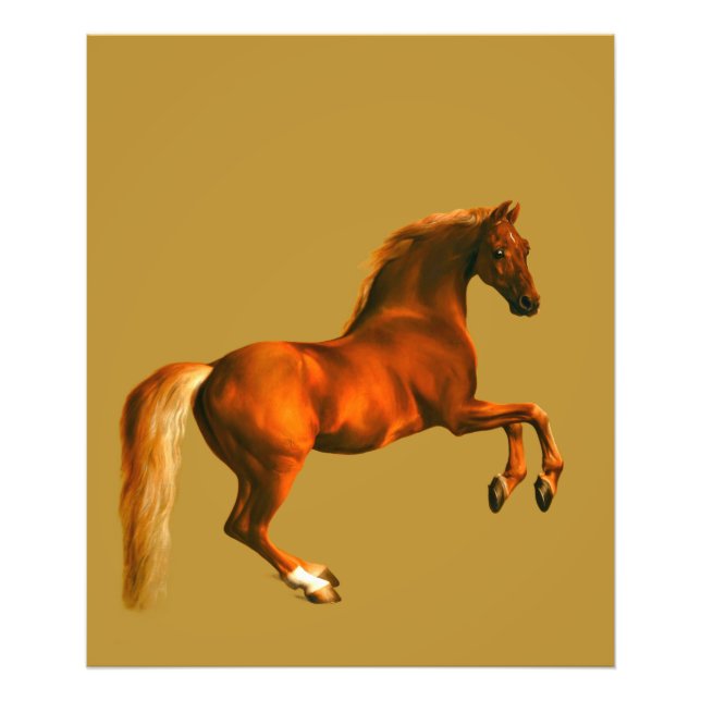 Foto Avô do Godolphin Arabian (Frente)