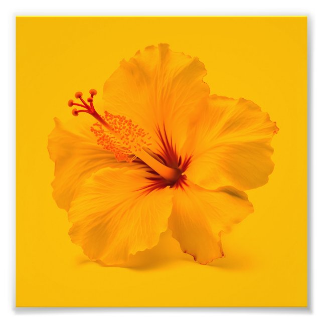 Foto Azalea Amarelo (Frente)