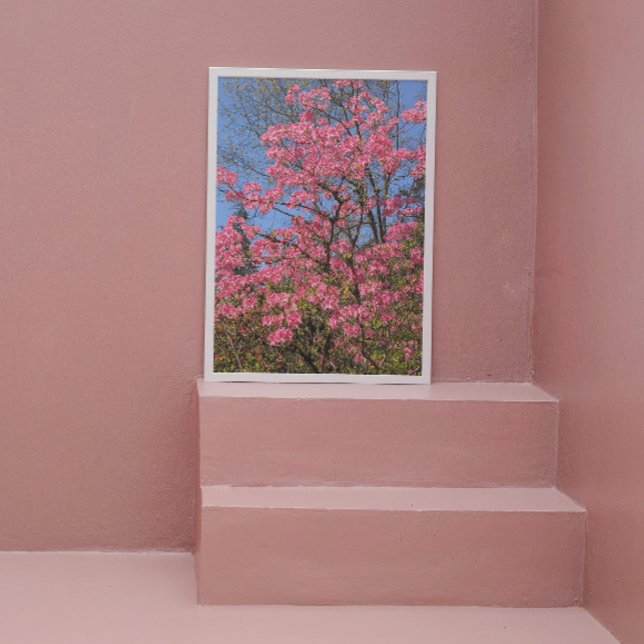 Foto Azaleas cor-de-rosa bonito Floral (In Situ (Framed))