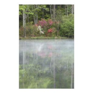 Foto Azáleas refletindo em um lago durante o início