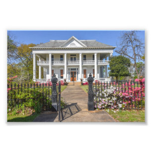 Foto Azaleias Casa Chilton-Lipstate-Taylor Tyler Texas