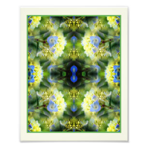 Foto Azul Hydrangea Flowers Espelho Abstrato 8x10