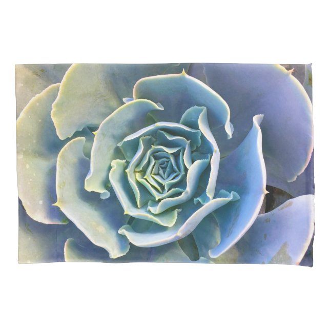 Foto azul púrpura azul actus verde mint (Frente)