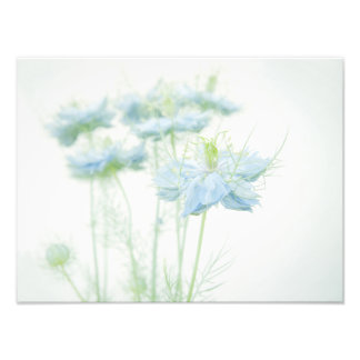 Foto Azul - Risco grande