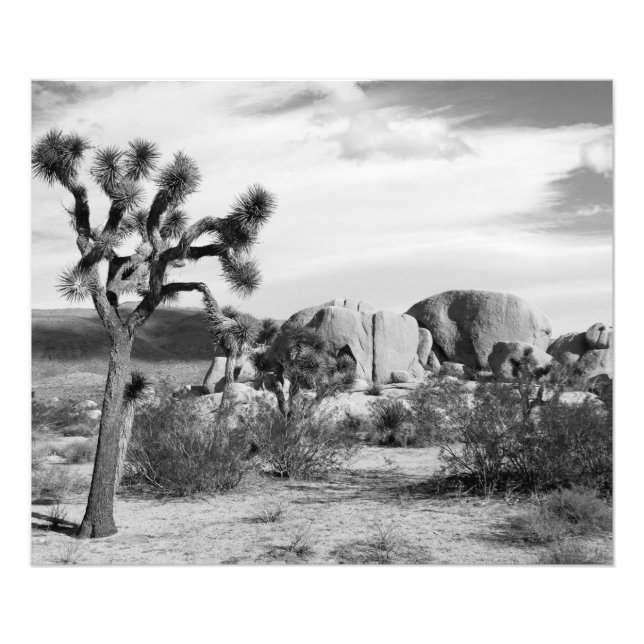 Foto B&W Joshua Tree Parque Nacional (Frente)
