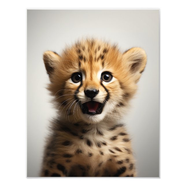 Foto Baby Cheetah Art Impressão | Safari Nursery Art (Frente)